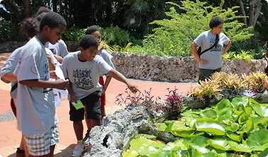 kids_looking_in_pond